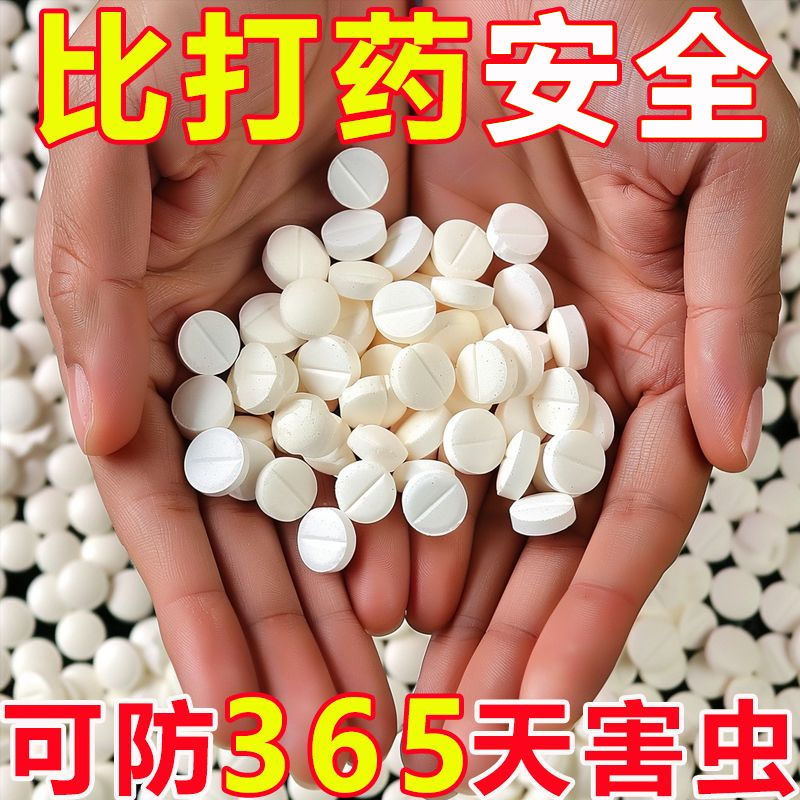 家庭园艺防虫防小黑飞蚜虫白粉虱