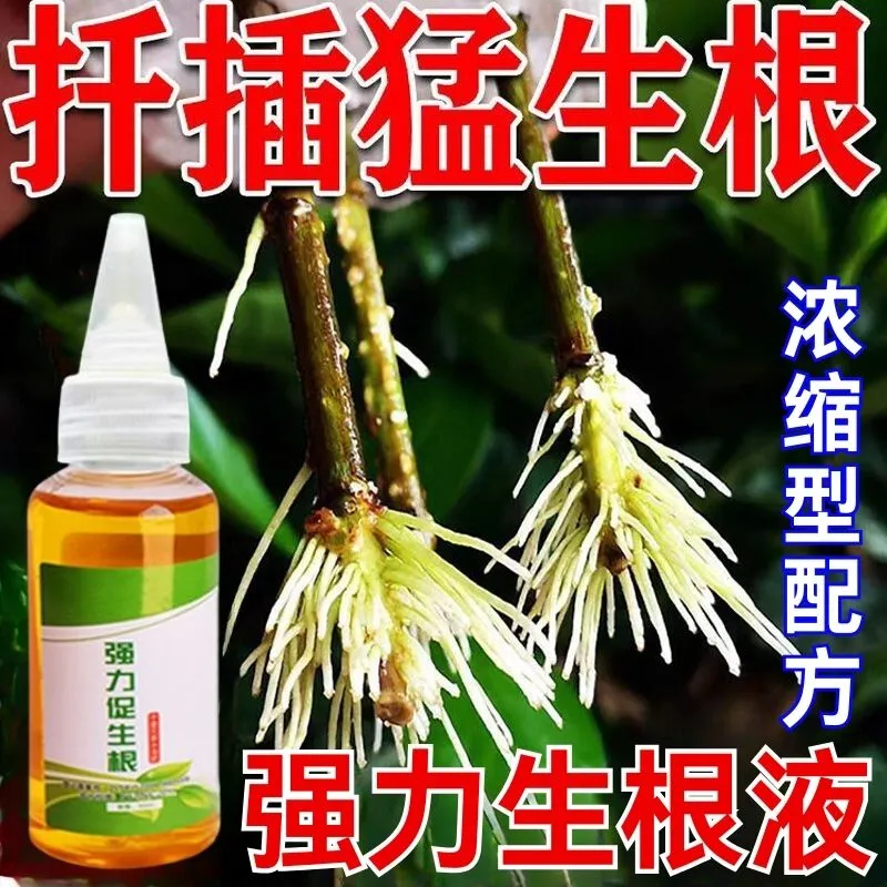 快速生根液绿植物通用扦插移栽
