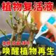 植物再生剂绿植盆栽植物花卉光杆发黄掉叶通用型复活液园艺水溶肥