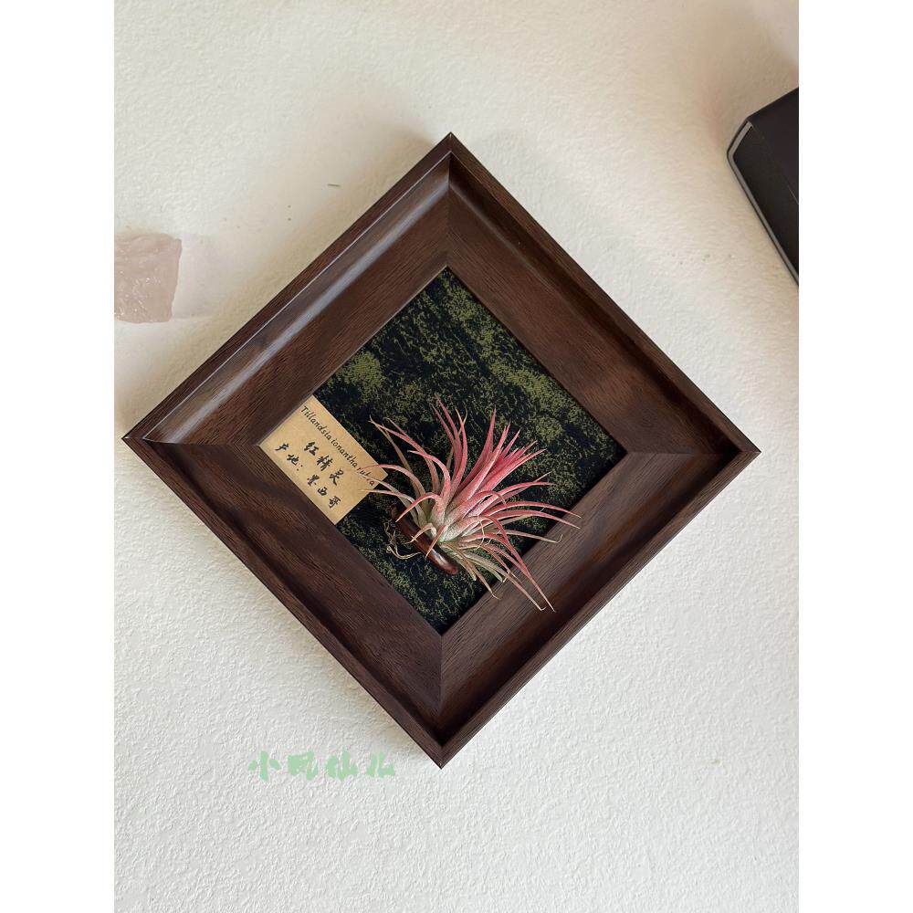 ins空气凤梨套餐磁吸现代装饰画框复古桌面挂画软装深棕色相框5寸