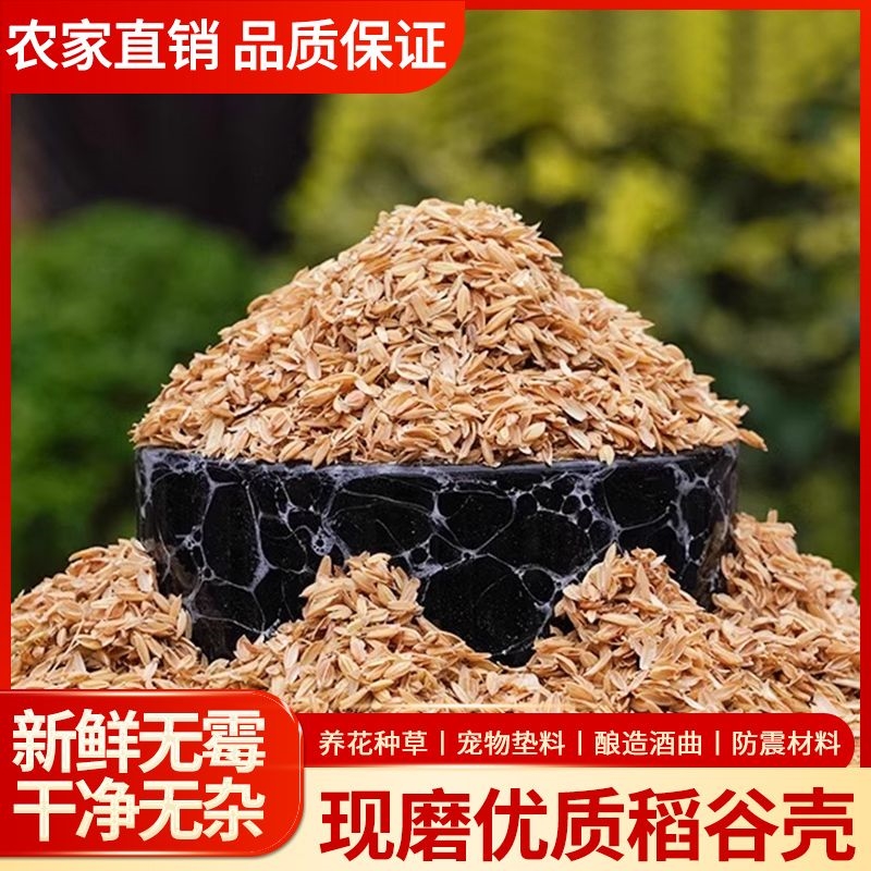 新鲜稻谷壳粗糠子动物宠