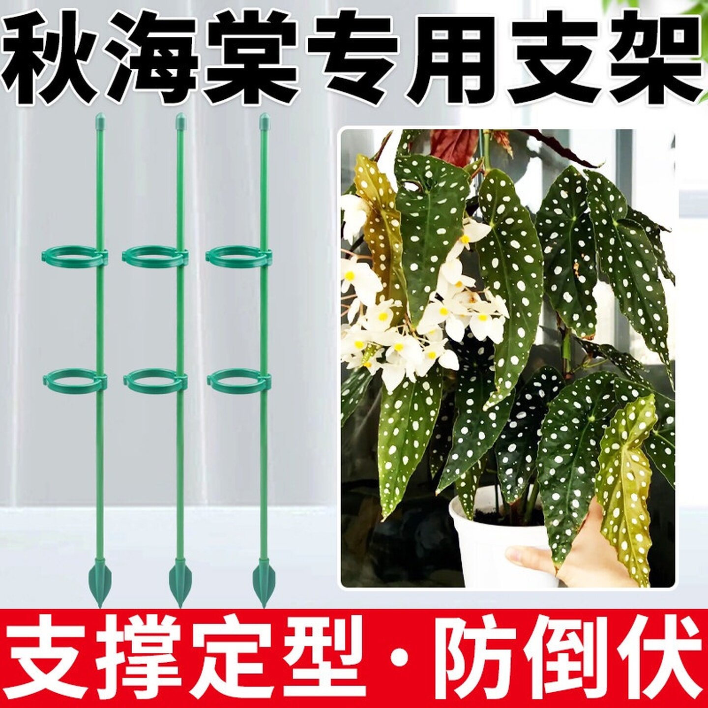 秋海棠支撑架防倒伏支架园艺植物支撑杆花盆支架蔬菜西红柿爬藤架