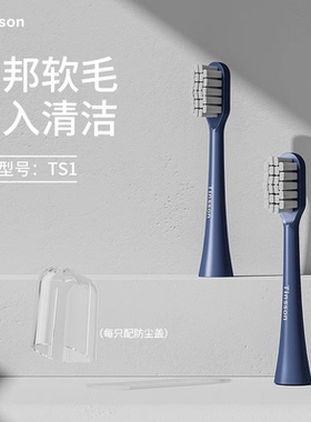 汀森TS1电动牙刷头原装净白护齿2-4-8支装软毛替换牙刷头成人适用