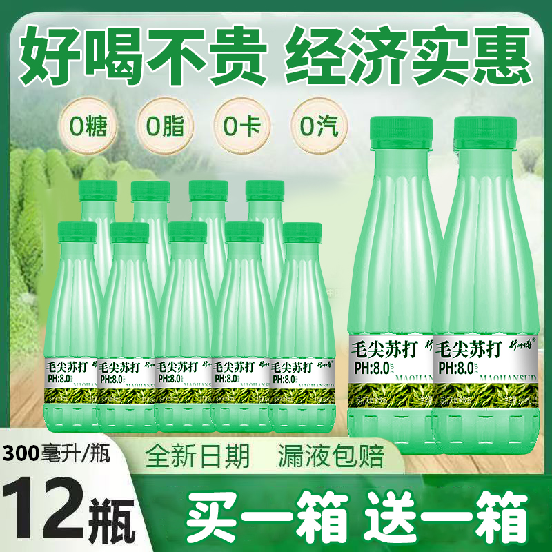 网红推荐毛尖苏打水无糖无气好喝茶香300ml健康0糖饮品夏季好喝
