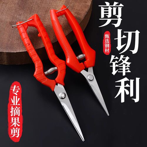 果树剪刀采果剪园艺剪葡萄疏花剪修花修枝剪采摘摘果剪刀户外果园