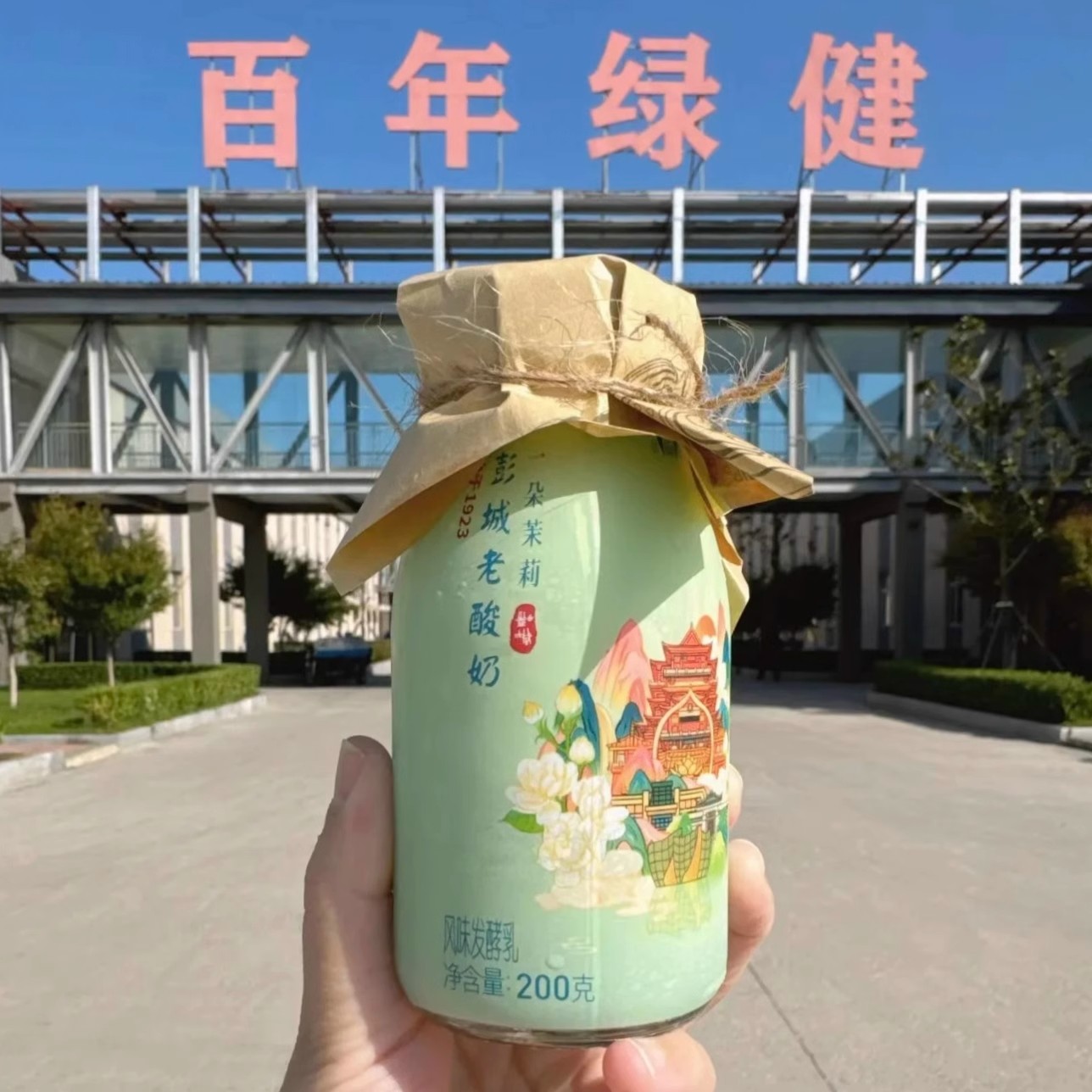 速发【顺丰送货上门】徐州绿健酸奶汉符青名款彭城老酸奶茉莉联提