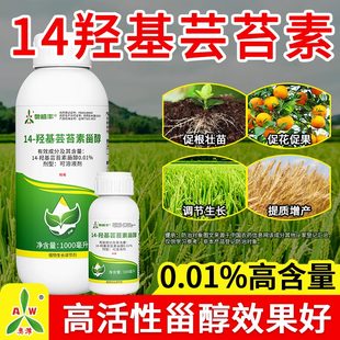 奥潍14羟基芸苔素正品高含量调节生长内脂增产促花促果专用农药