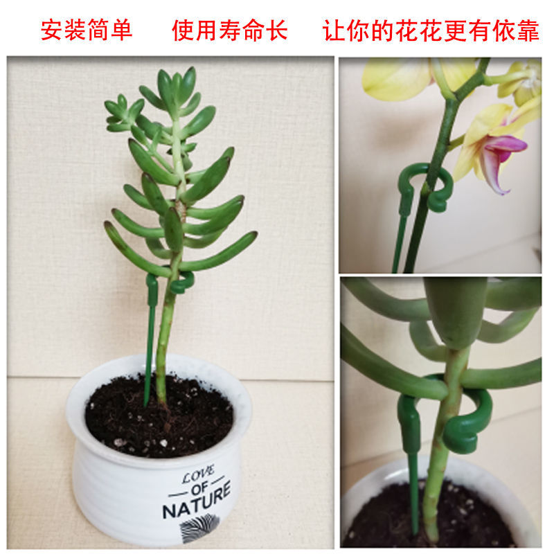 多肉蝴蝶兰专用花架支架植物盆栽花卉造型支撑杆固定防倒伏护叶架