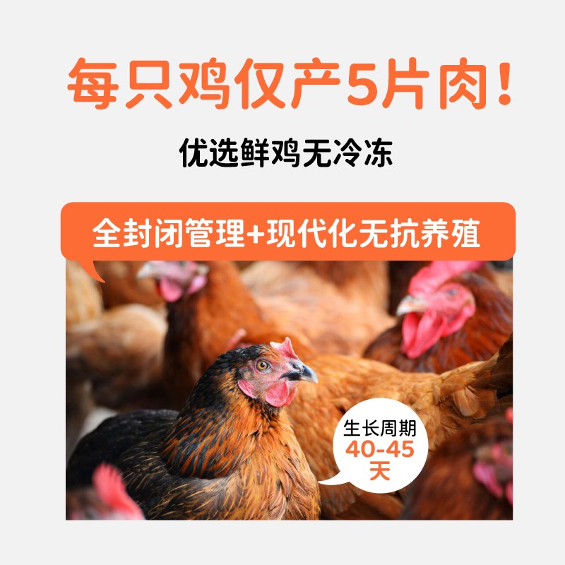 大p便当风干鸡胸肉鸡肉粒冻干猫狗零食主食猫咪成猫幼猫磨牙罐头