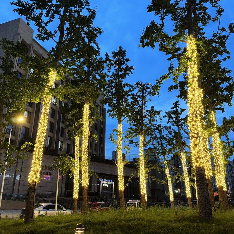 挂树上的彩灯闪灯串灯满天星户外亮化装饰盘树灯带led树灯绕树灯