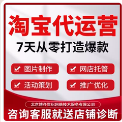 淘宝代运营网店托管天猫京东拼多多新开店铺整店直通车推广代营运