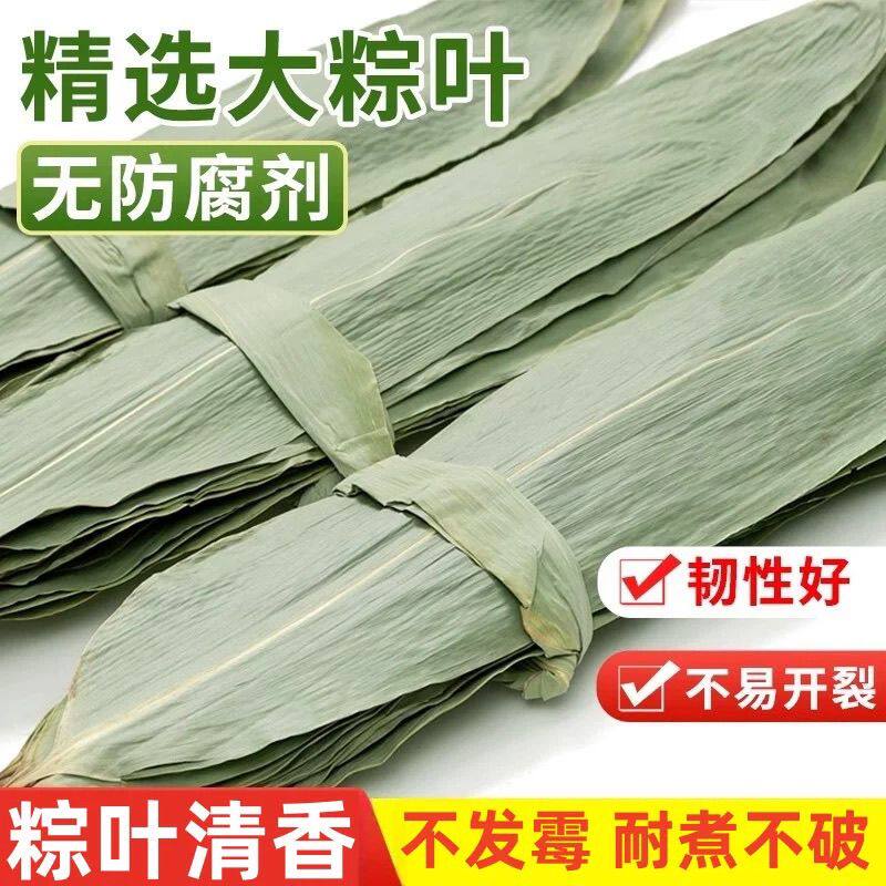 干粽叶大码粽子叶免邮新鲜麻竹箬叶商家用包粽子材料端午批发送绳