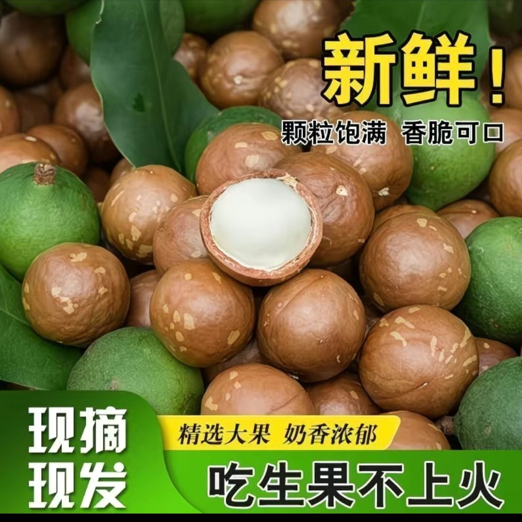 云南德宏新鲜夏威夷果去绿皮原味奶香澳洲生坚果孕妇宝宝坚果当季