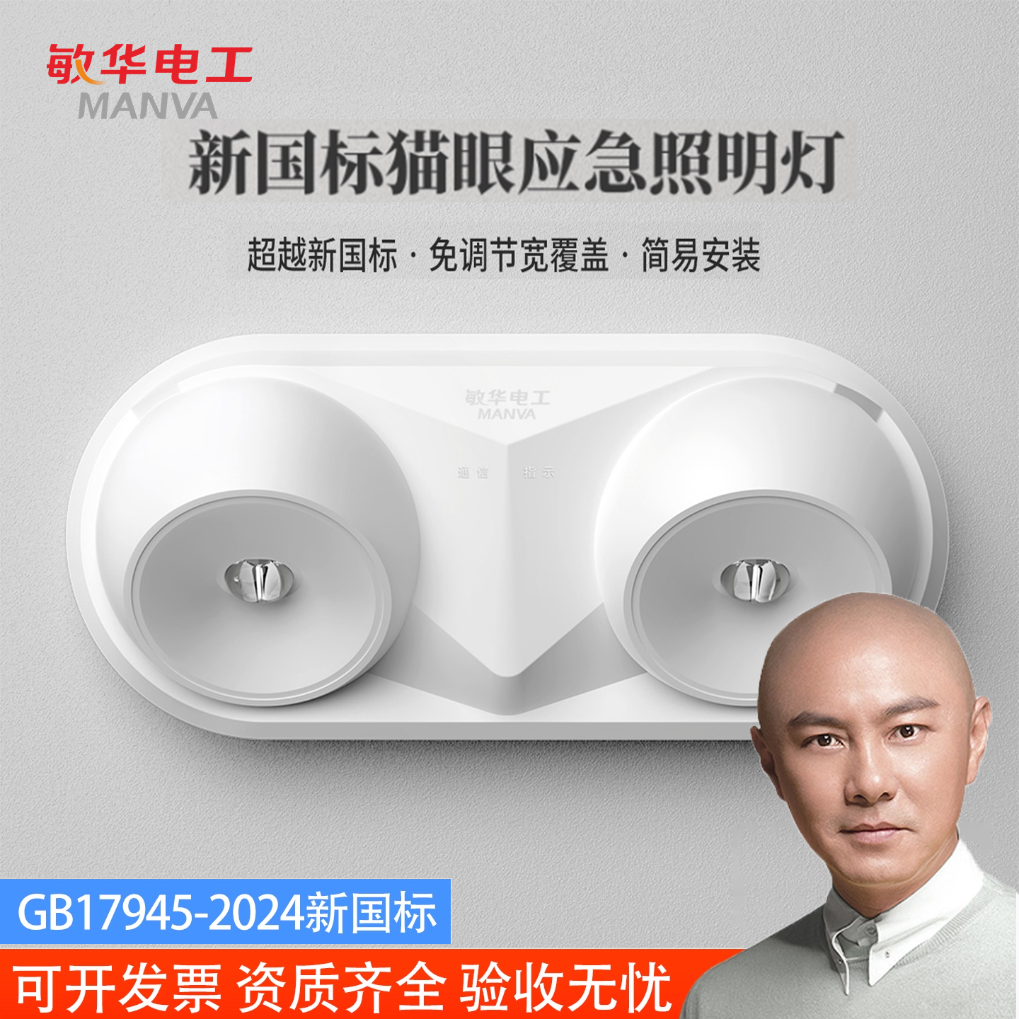 GB17945-202436v新国标集电集控