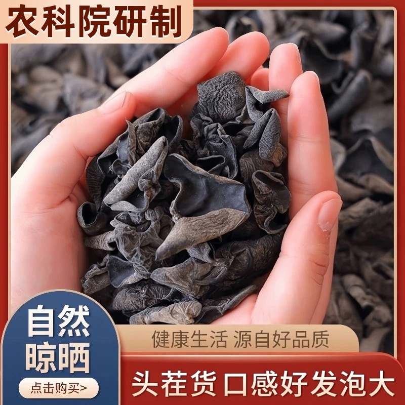 东北黑木耳凉拌软糯黑龙江山特产