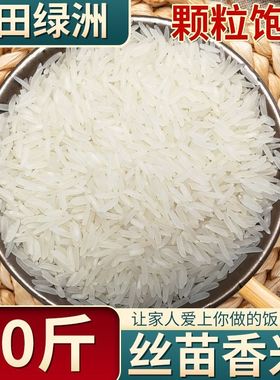 2024年当季晚稻丝苗长粒香米新米象牙米茉莉香米大米猫牙油粘米