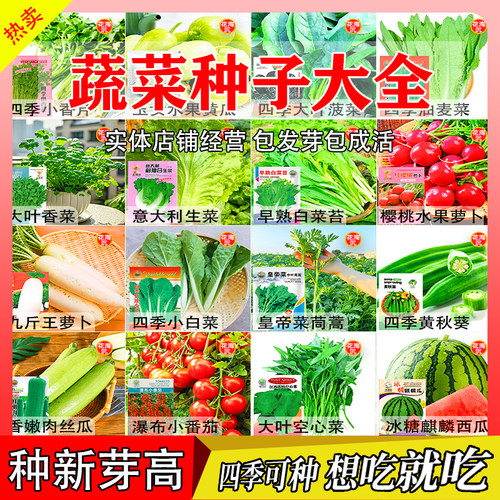 蔬菜种子菜种籽种孑西红柿草莓香菜豆角黄瓜辣椒西瓜蔬苗四季大全