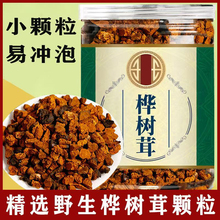 长白山野生桦树茸桦树茸桦褐孔菌白桦茸颗粒泪茶粉菌菇非俄罗斯