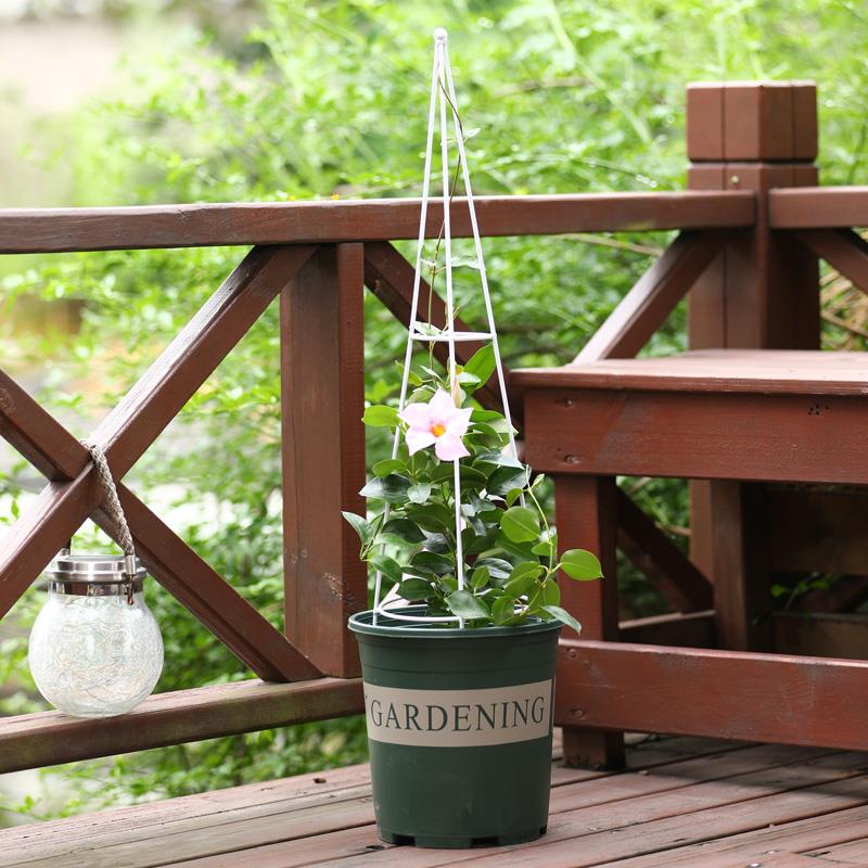 铁艺塔型爬藤架植物支撑架月季铁线莲塔架园艺飘香藤花架护花支架