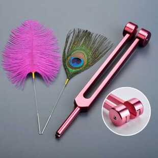 天艺专业音叉采耳工具四川成都耳震子响铗杨波款 金粉蓝色无齿音叉