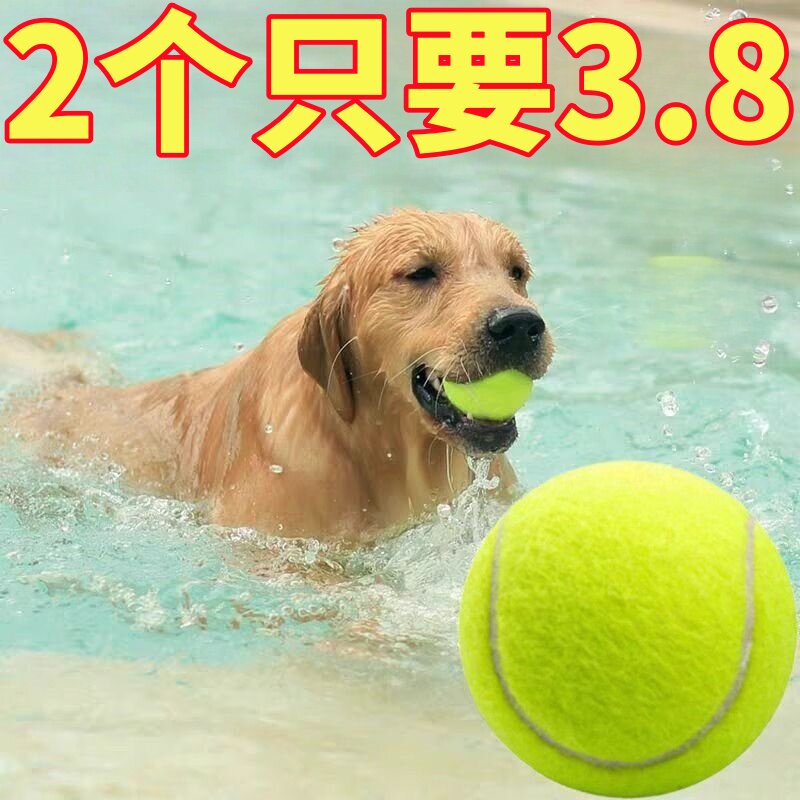狗狗玩具球自嗨解闷宠物网球边牧金毛柯基耐咬球训练磨牙网球橡胶