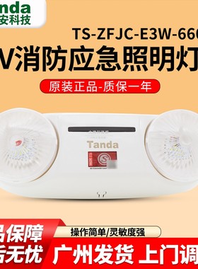 泰和安E3W-6602A/E5W-6601B智能疏散应急双头灯集中电源应急灯36V