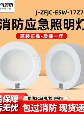 北大青鸟消防应急照明灯灯J-ZFJC-E5W-17Z7A壁挂吸顶嵌入式5W灯具