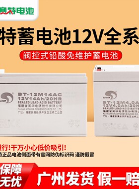 赛特 BT-12M1.3AT/2.3/4/10/12/14/17AC 消防报警主机电梯蓄电池