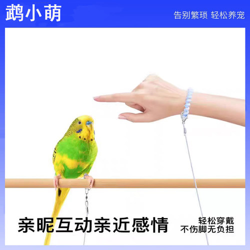 鹉小萌虎皮牡丹珍珠鸟放飞绳