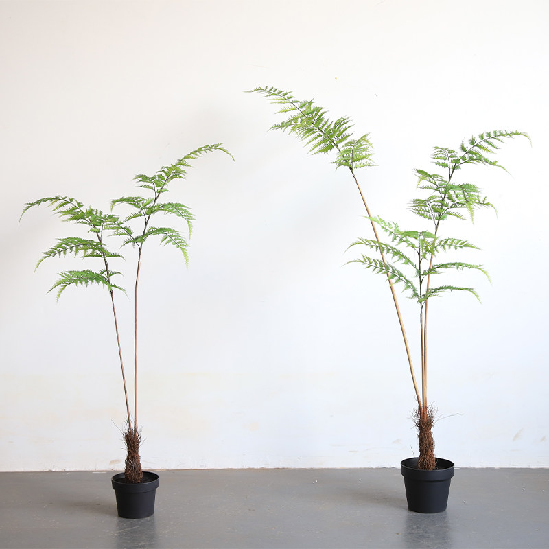 仿真金毛狗蕨植物盆栽中式蕨类造景装饰假树绿植盆景金丝猴蕨摆件