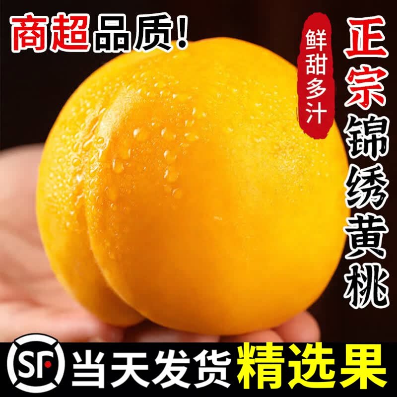 山东蒙阴黄金蜜毛桃黄桃脆桃甜蜜桃新鲜水果整箱现摘脆甜黄金黄桃