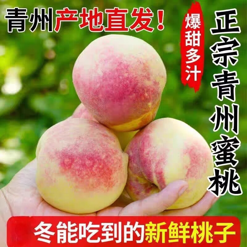 山东青州蜜桃冬桃新鲜水果桃子冬雪脆甜毛桃整箱当季丑桃脆甜蜜桃