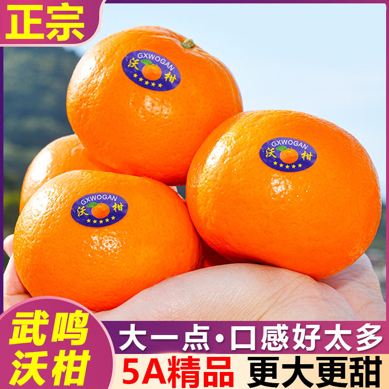 广西特级沃柑新鲜皇帝橘柑整箱酸甜孕妇水果现摘柑橘桔子武鸣沃柑