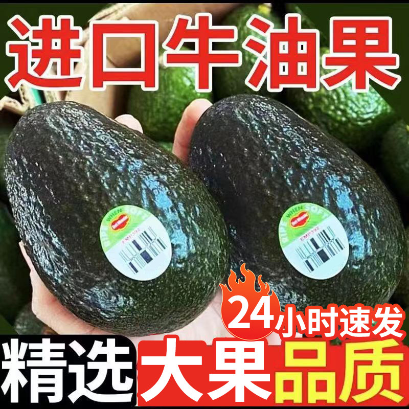 澳洲进口牛油果新鲜鳄梨巨无霸果牛油果早餐水果辅食自然熟透鳄梨