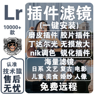 lr预设插件全套lightroom滤镜瘦脸日系胶片美白调色中文win/mac