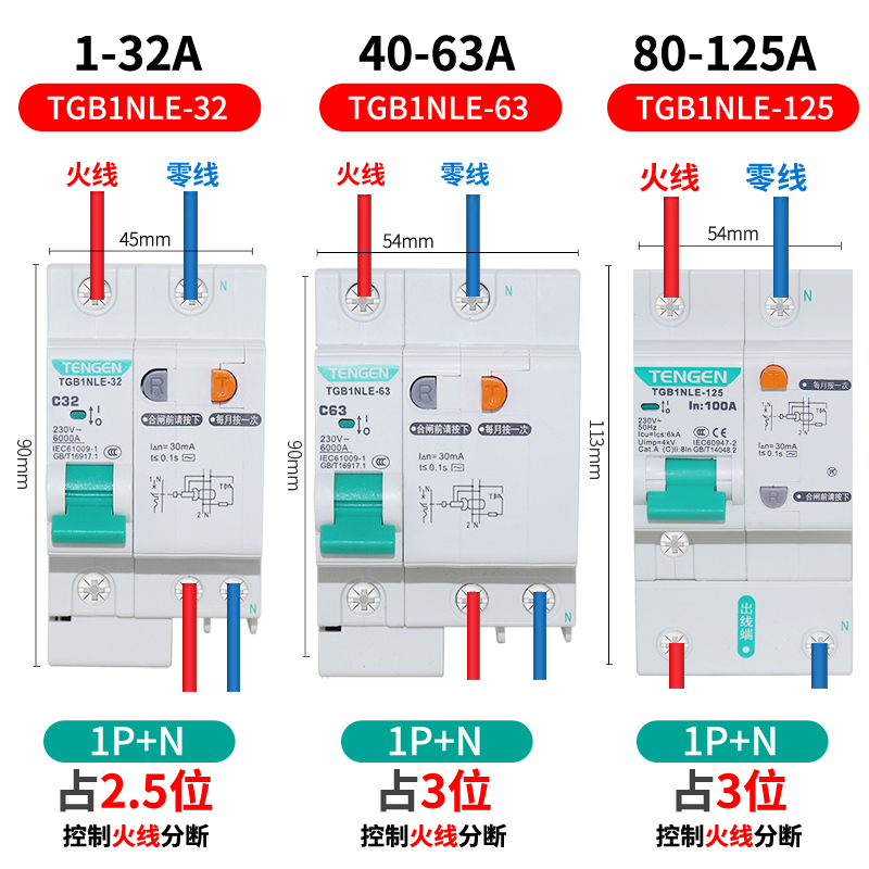 天正漏保空气开关63A相2P家用220V电闸总闸带漏电保护器断路器