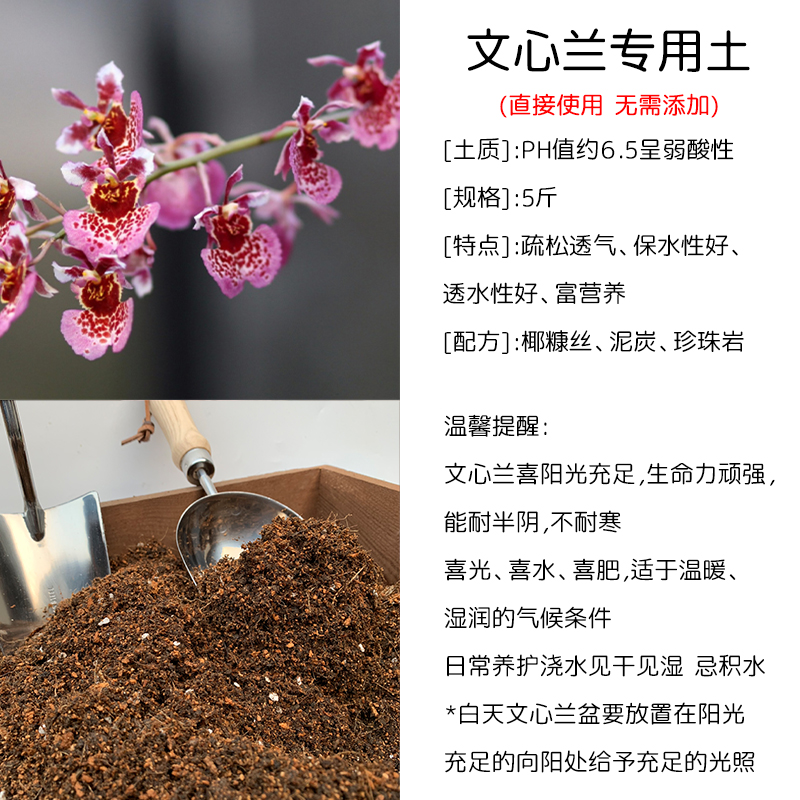 文心兰土盆栽种植文心兰土酸性土椰糠泥炭土壤通用营养土花肥