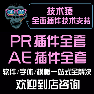 pr插件ae插件合集win+mac全套一键安装2021调色磨皮补帧美白