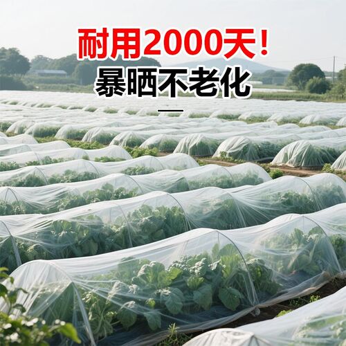 防虫网大棚专用纱网80目加厚尼龙种蔬菜果树农用防蚊鸟养殖场网罩