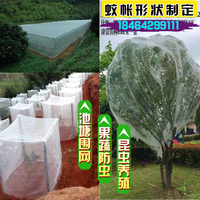 防虫网蔬菜大棚果树果园防虫网罩农业用40目60目80目池塘养殖围网