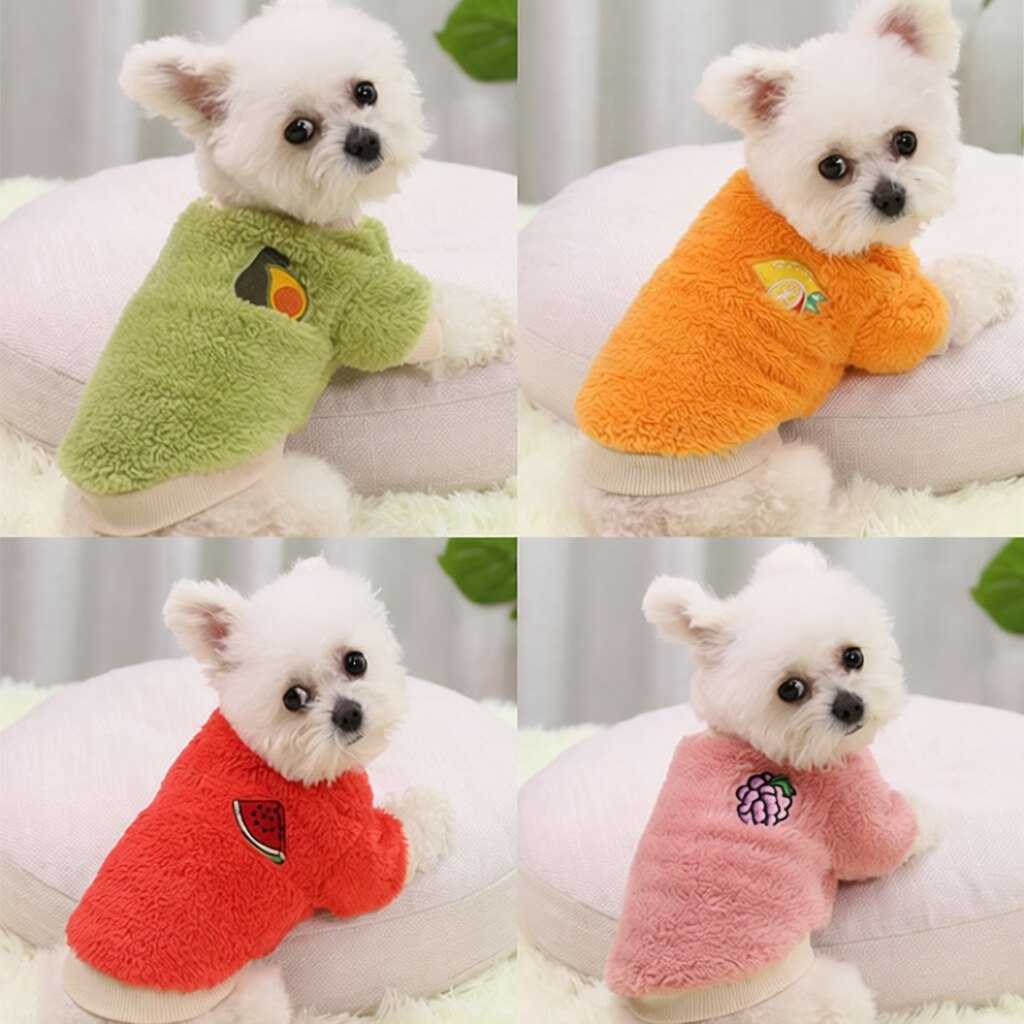狗狗衣服泰迪秋冬装博美保暖小型