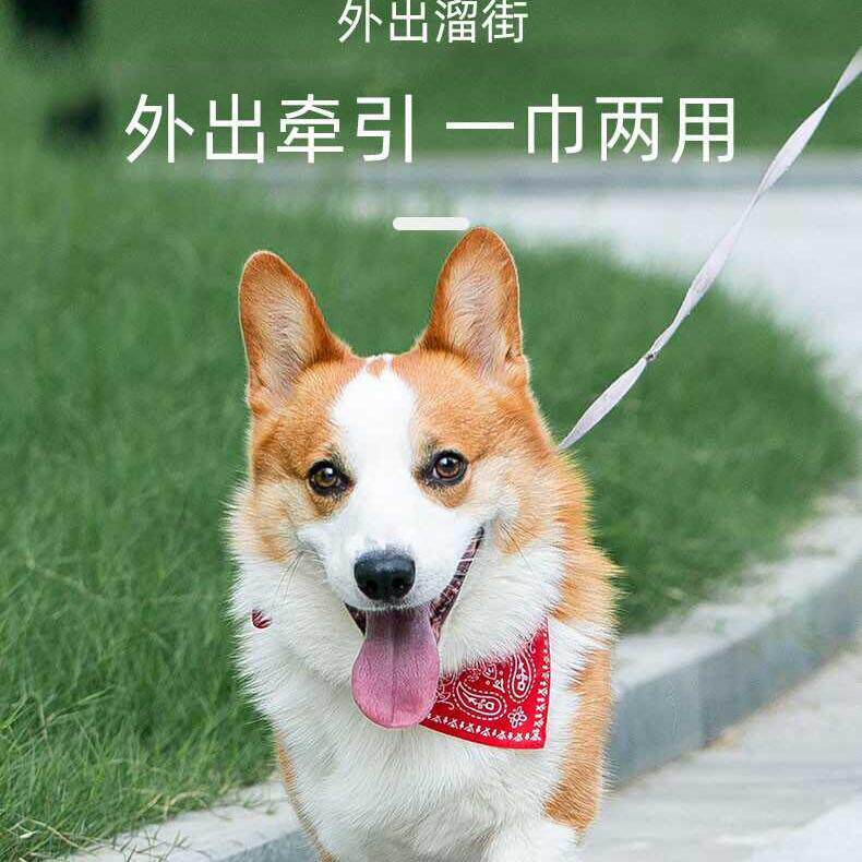 狗狗口水巾猫猫可调节牵引三角巾