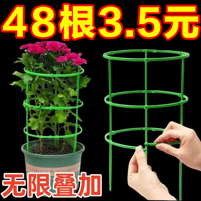 花架子室内家用支架通用型蟹爪兰