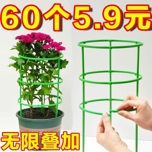 园艺支撑杆花架固定器蝴蝶兰花架