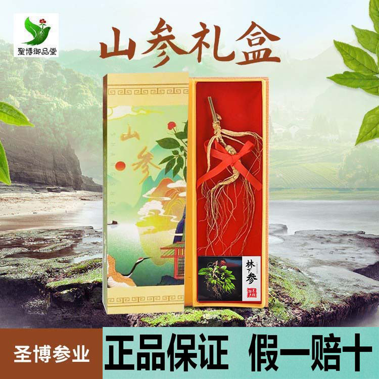 野山参 28公分林下参盒装人参整根中老年人滋补营养品泡茶水炖汤