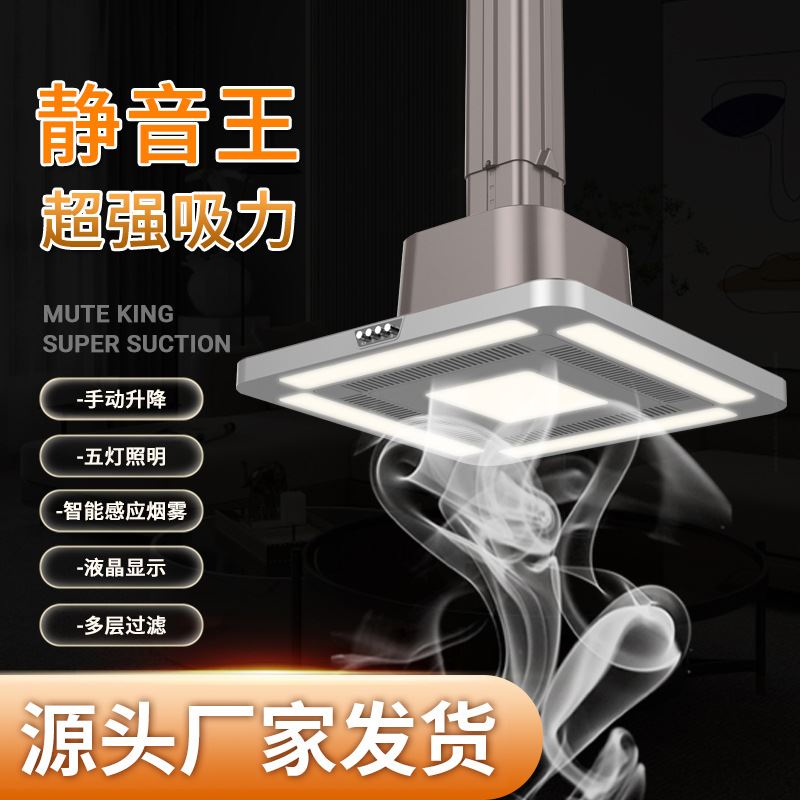 棋牌室麻将机吸烟灯空气净化器升降吊灯直排排风茶楼吸烟灯5直排