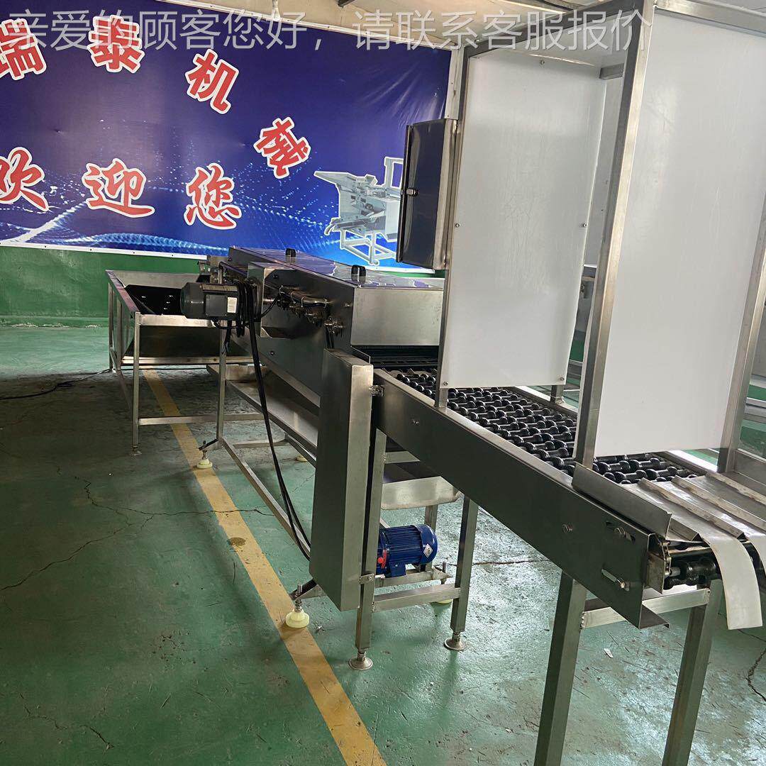 自动鸡机蛋清洗机 鸭蛋自动洗蛋 中小应型OXR洗全蛋机供商