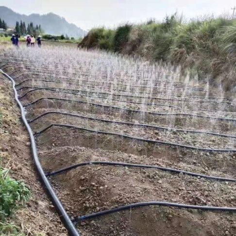 滴灌带微喷带喷灌喷水带雾化灌溉主管农用滴灌设备自动浇水器水管