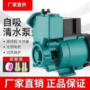 家用防冻防锈125W自吸泵高压旋涡增压泵抽水机220V全自动水空调泵
