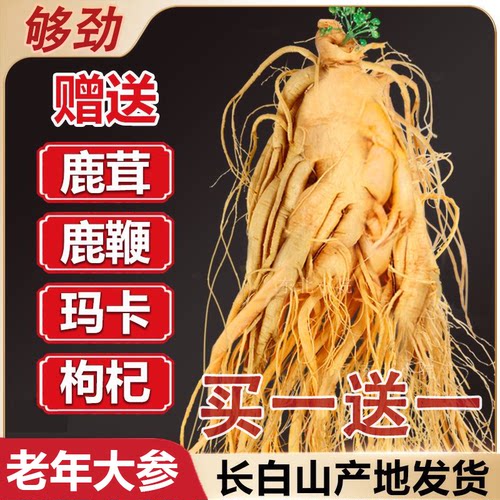 保鲜参鲜人参长白山人参泡酒煲汤